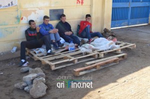 nador1203