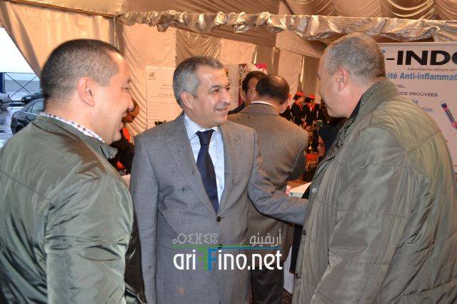 nador0080