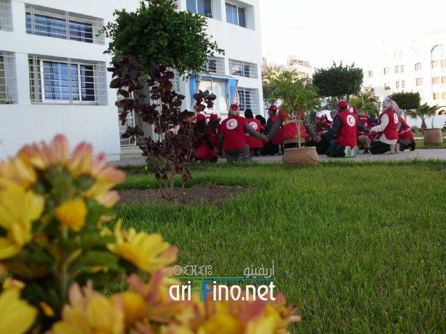 nador0328