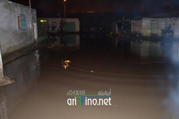 nador0331