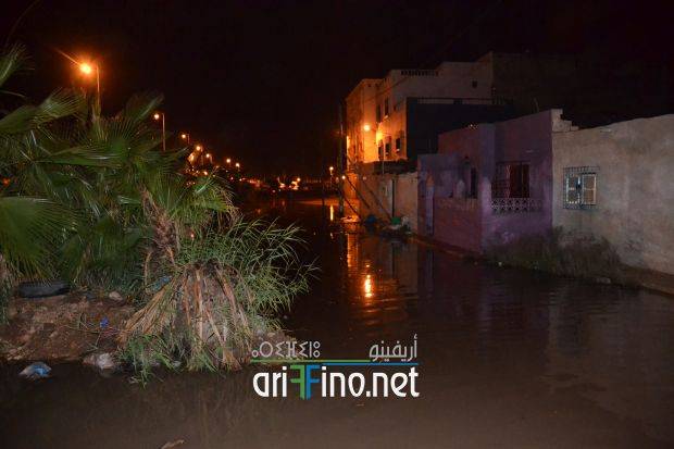 nador0335