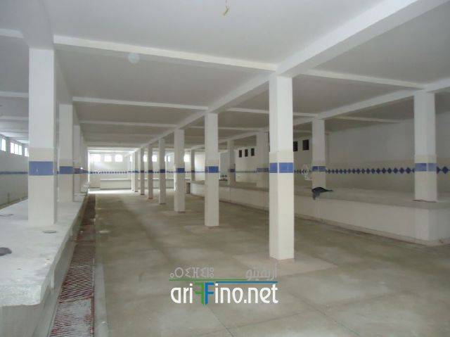 nador0452