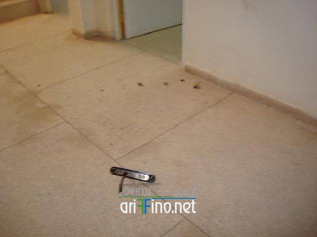 IF
