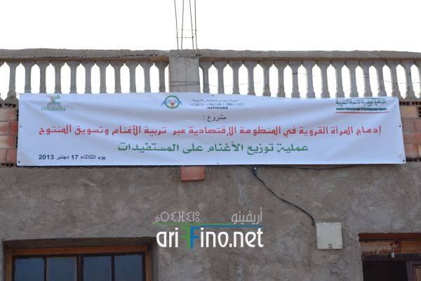 nador0528
