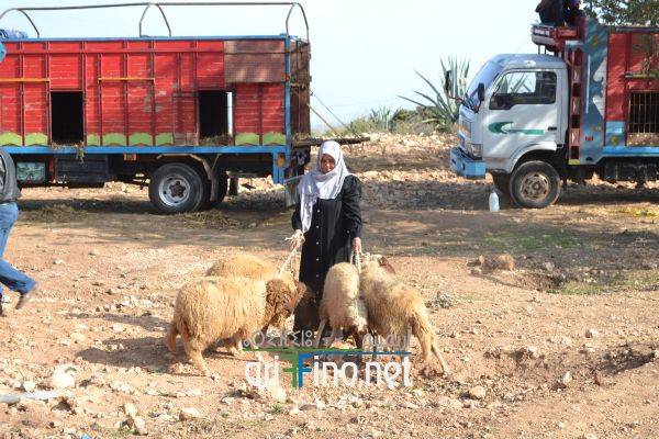 nador0579