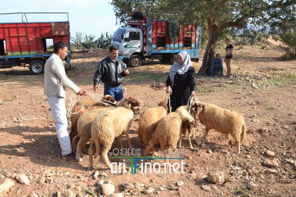 nador0580