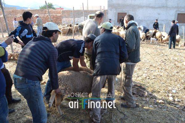 nador0582