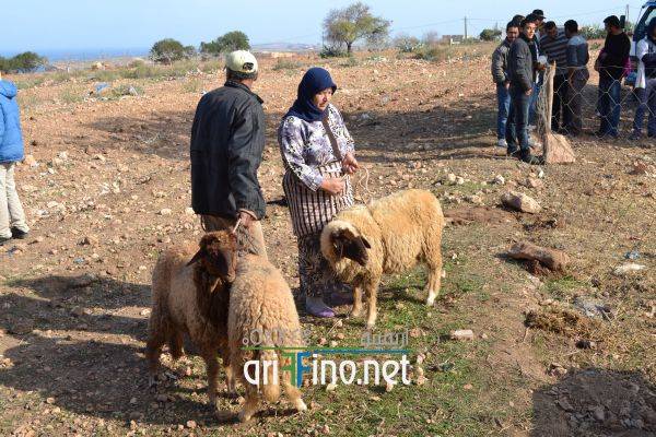 nador0588