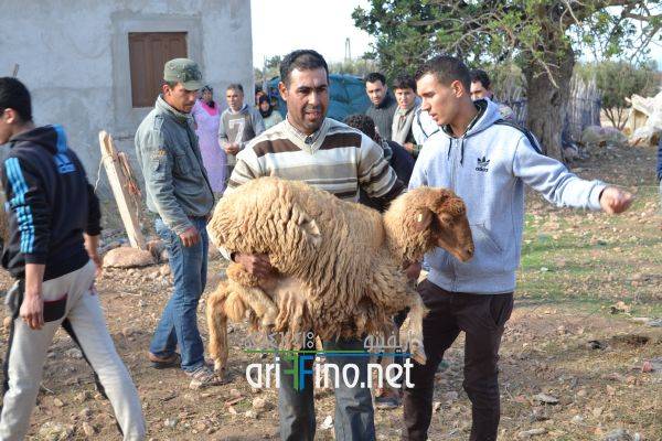 nador0594