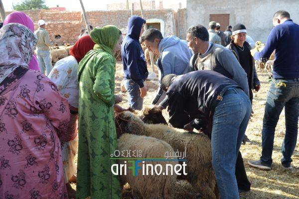 nador0597