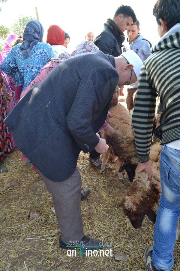 nador0604
