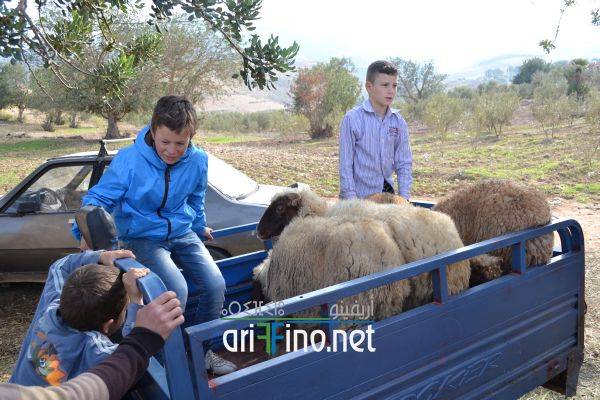 nador0628