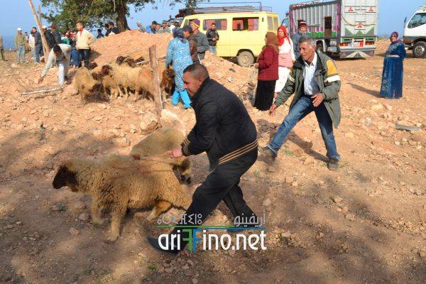 nador0629