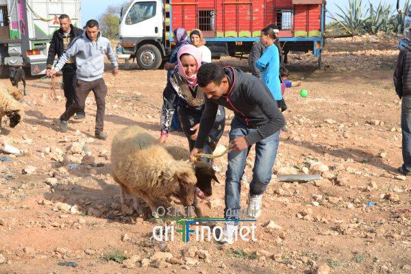 nador0632