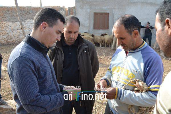 nador0633