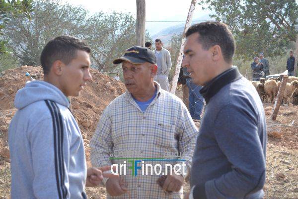 nador0635