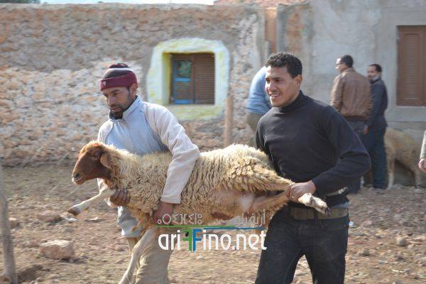 nador0638