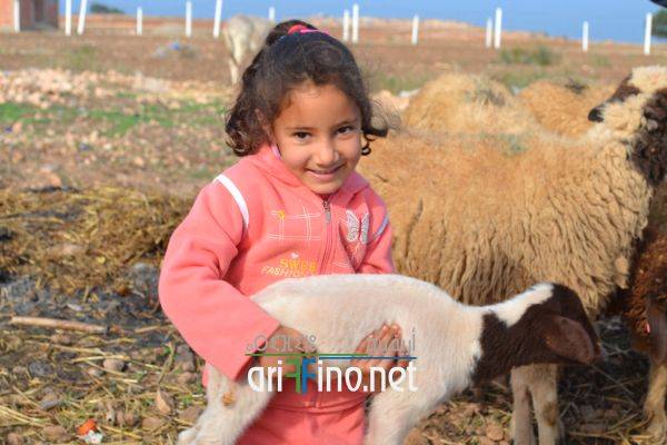 nador0640