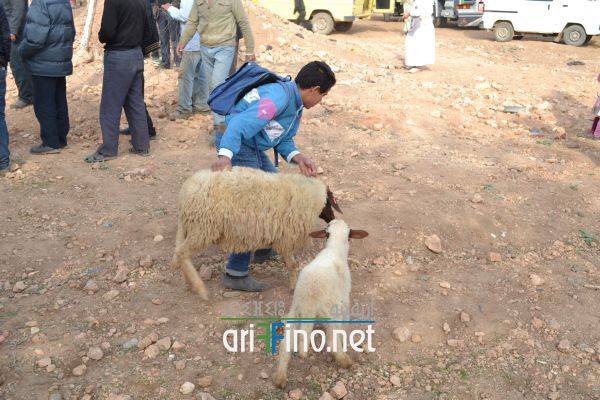nador0656
