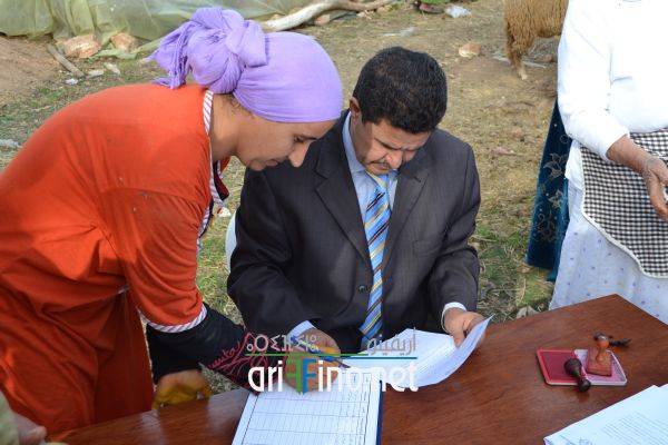 nador0662