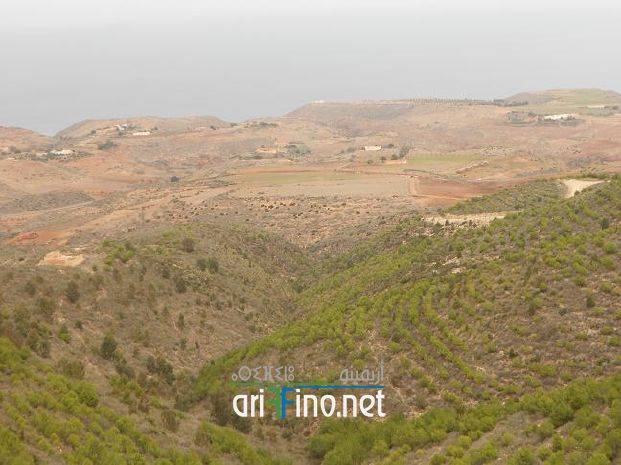 IF