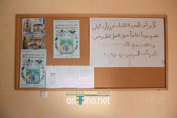 nador0733