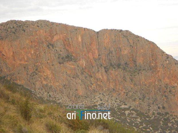 IF