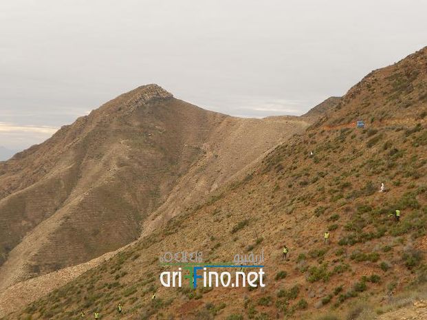 IF