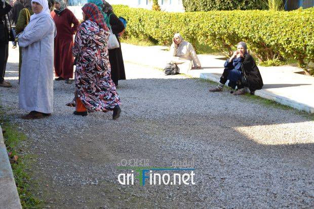 nador0801