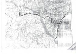 1521873_10201352153225731_149136736_n