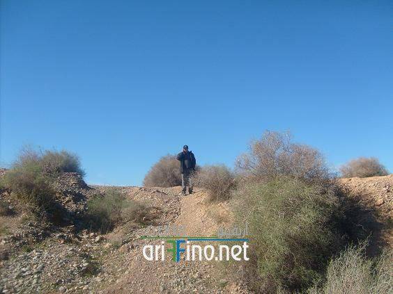 IF