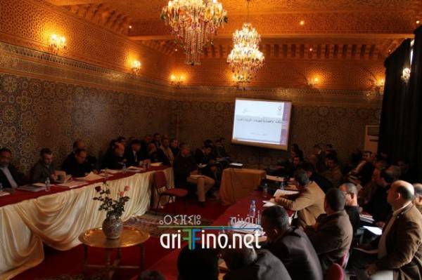 nador0333