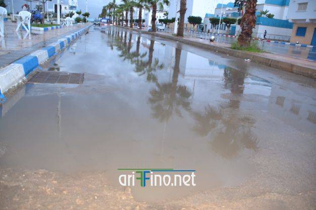 nador0352
