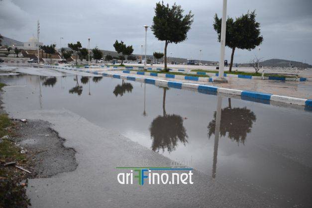 nador0355
