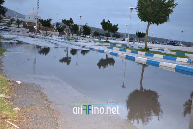 nador0356