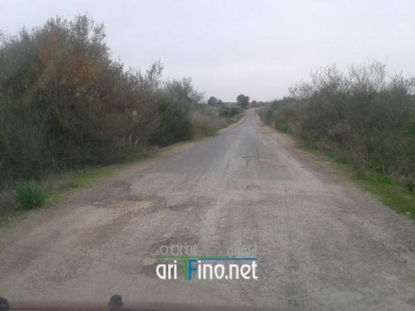 nador0403