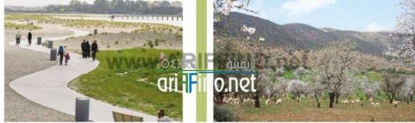 nador0513