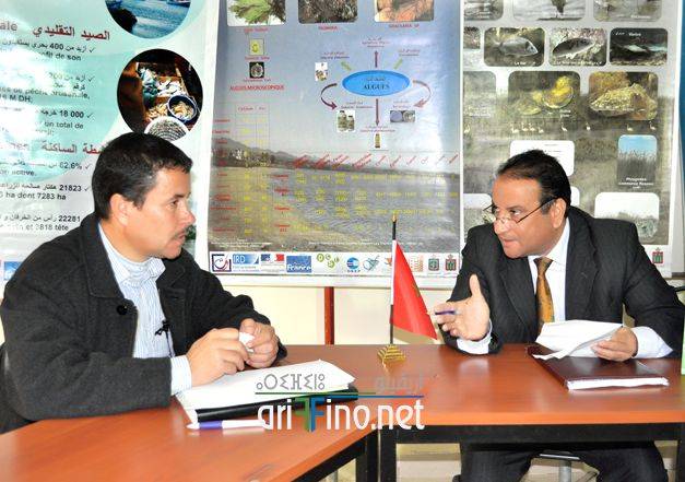 nador1201