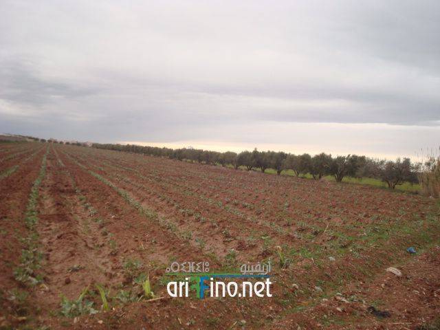 IF