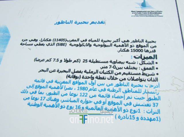 nador0072