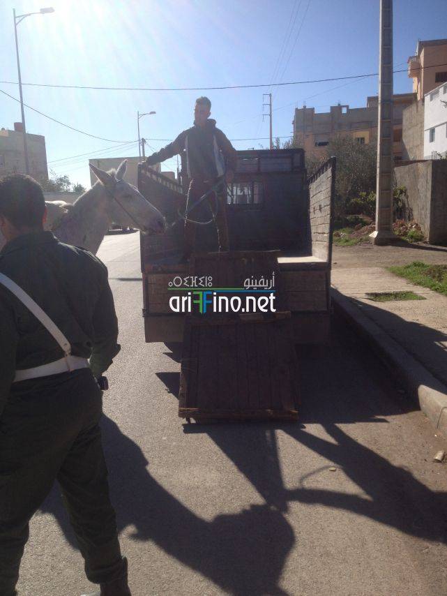 nador0092