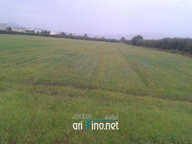 nador0138