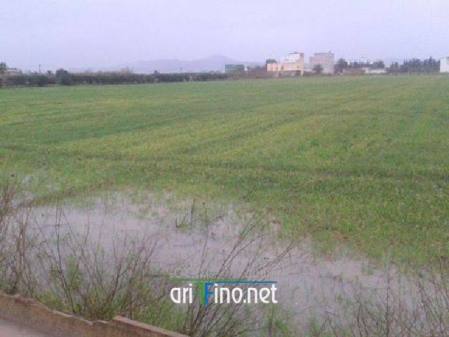 nador0139