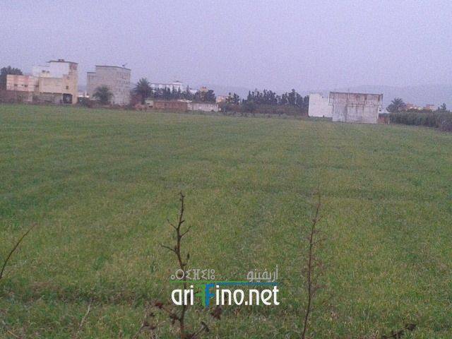 nador0141