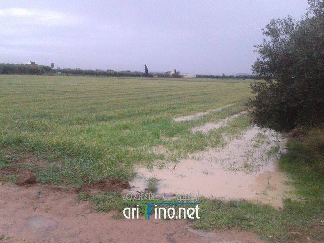 nador0143