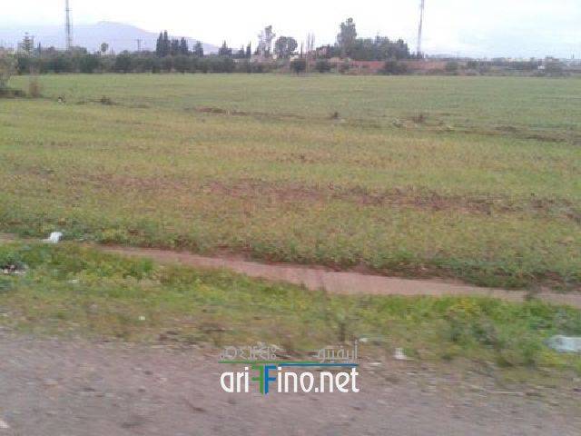 nador0148