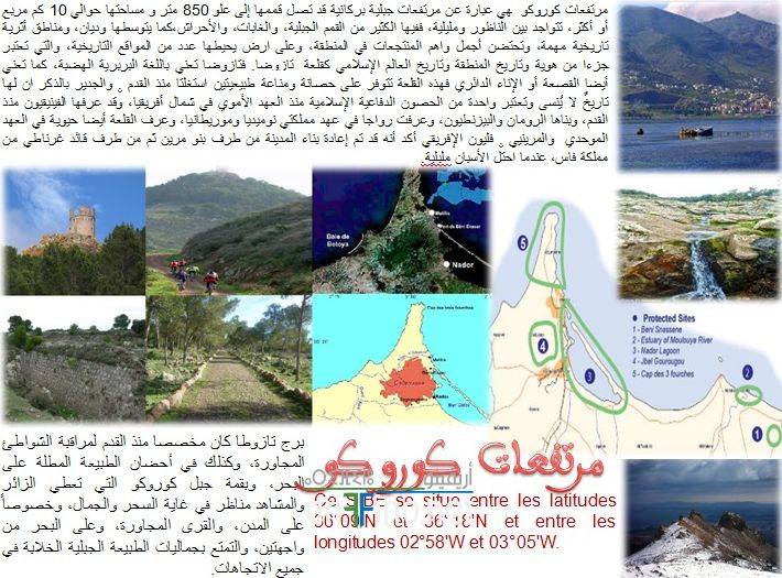 nador0219