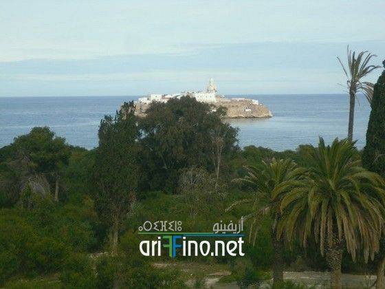 nador0310