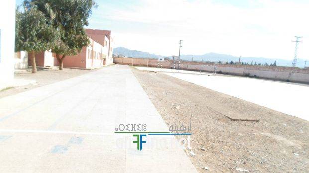 nador0417