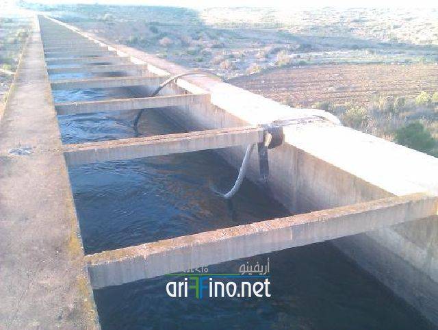 nador0490